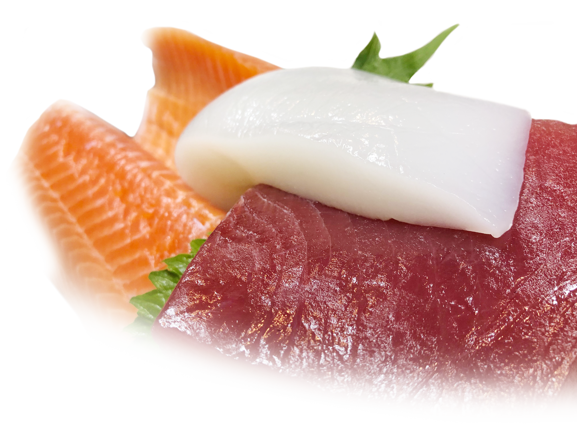 魚